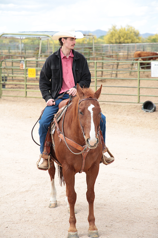 Arizona Cowboy College : Arizona : Richard Moore : Photographer